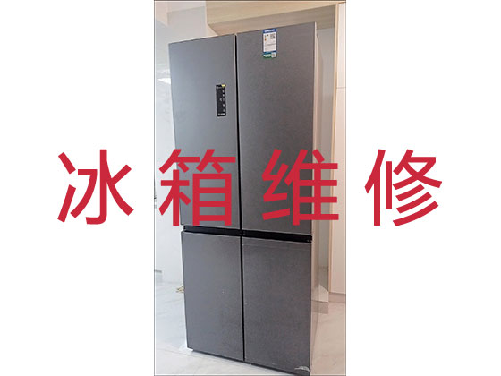 杭州专业冰箱安装